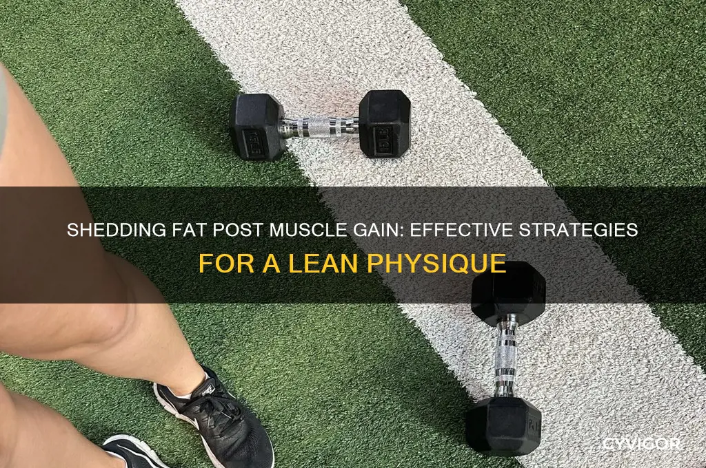 how to cut fat after gaining muscle