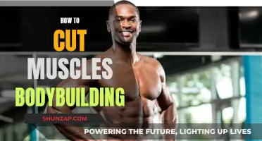 Cutting Muscles: Bodybuilding's Ultimate Guide to Shredding