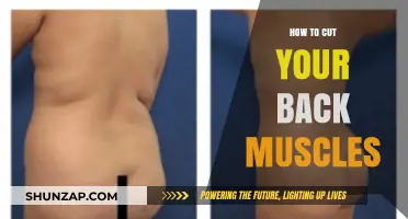 Sculpt Your Back: A Guide to Cutting and Defining Your Muscles