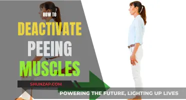 Deactivating Peeing Muscles: Techniques for Better Bladder Control
