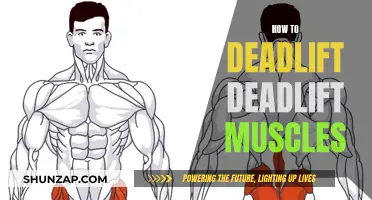 Mastering the Deadlift: Targeting the Right Muscle Groups