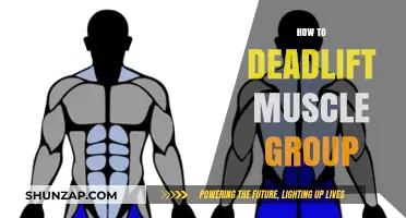 Mastering the Deadlift: Targeted Muscle Groups and Proper Form