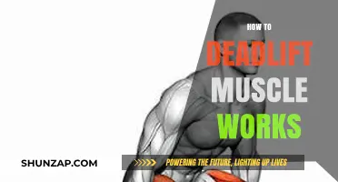 Master the Deadlift: Targeted Muscles and Effective Techniques Explained