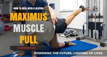 Effective Strategies to Heal and Prevent Gluteus Maximus Muscle Pulls