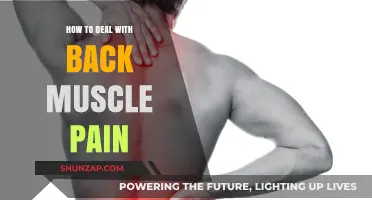 Effective Strategies to Relieve and Prevent Back Muscle Pain