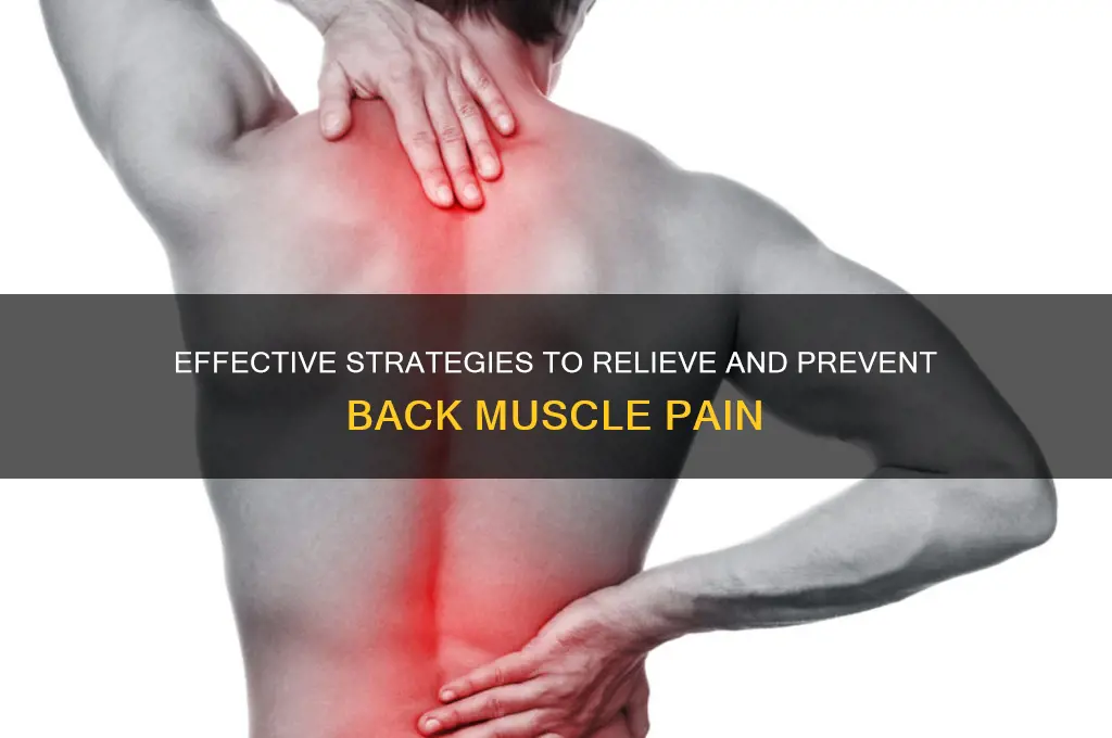 how to deal with back muscle pain