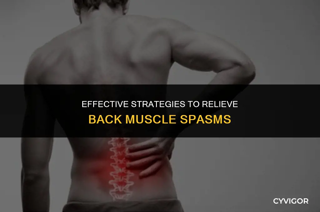 how to deal with back muscle spasms
