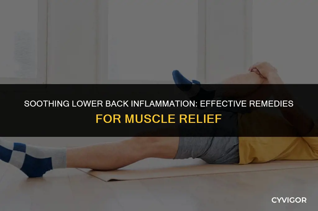 how to deal with inflamed muscles in lower back