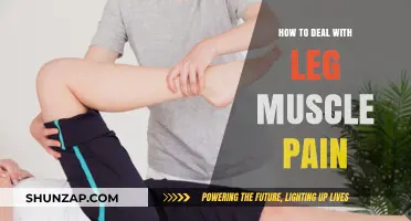 Effective Strategies to Relieve and Prevent Leg Muscle Pain