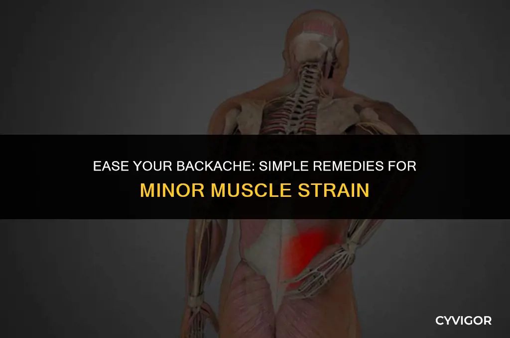 how to deal with minor back muscle strain