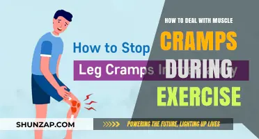 Conquering Muscle Cramps: A Guide to Prevention and Relief During Exercise