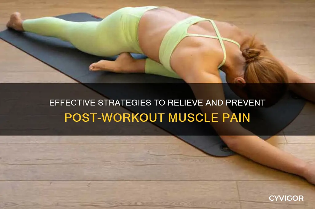 how to deal with muscle pain after a workout