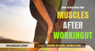 Effective Strategies to Relieve Sore Muscles Post-Workout