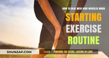 Ease Your Aches: Managing Sore Muscles When Beginning a Workout Routine