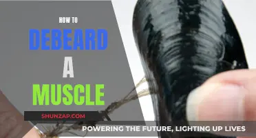 The Ultimate Guide to Debearding a Muscle