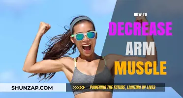 Effective Strategies to Slim and Tone Your Arm Muscles