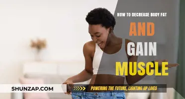 Effective Strategies to Shed Body Fat and Build Lean Muscle