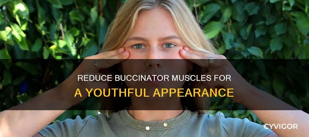 how to decrease buccinator muscles