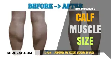 Shrinking Calves: Effective Strategies to Reduce Calf Muscle Size