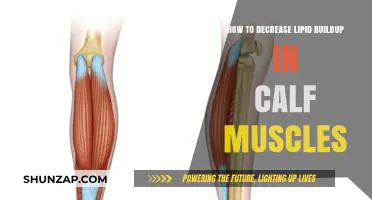 Effective Strategies to Reduce Lipid Accumulation in Calf Muscles