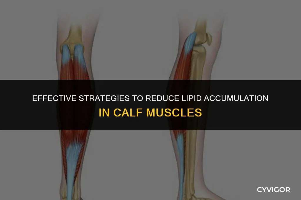 how to decrease lipid buildup in calf muscles