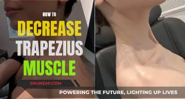 Relieving Trapezius Muscle Tension: Simple Tips and Tricks