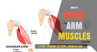 Sculpting Strength: A Guide to Defining Your Arm Muscles Effectively