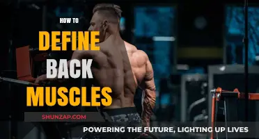 Strengthening Your Back: A Guide to Defining Your Muscles