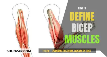 Defining Bicep Muscles: A Step-by-Step Guide to Success