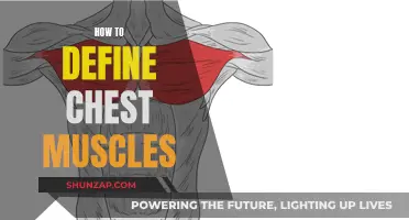Defining Chest Muscles: A Guide to Chiseled Success