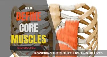 Understanding Your Core Muscles: Definition and Functionality