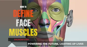 Defining Facial Muscles: Secrets to Chiseled Looks