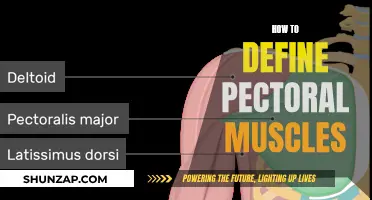Defining Pectoral Muscles: A Comprehensive Guide