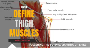 Defining Thigh Muscles: Effective Workout Strategies Revealed