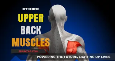 Sculpting Strength: A Guide to Defining Your Upper Back Muscles