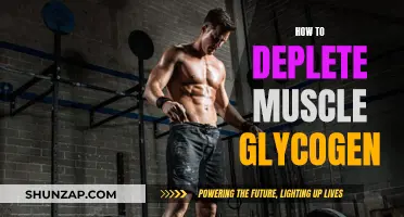 Depleting Muscle Glycogen: Strategies for Efficient Exercise Recovery