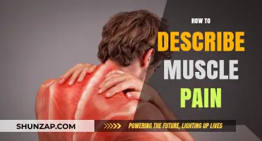 Understanding Muscle Pain: Effective Ways to Describe and Communicate Discomfort