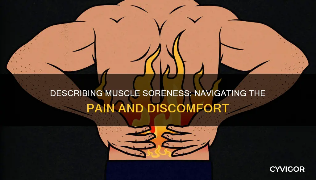 how to describe muscle soreness