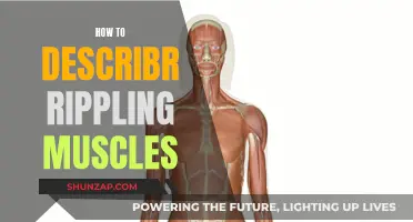 Rippling Muscles: Describing the Undulating Power and Strength