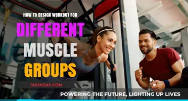 Effective Workout Design: Targeting Muscle Groups for Optimal Results