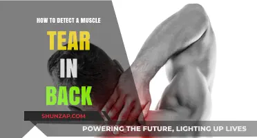 Identifying Muscle Tears in Your Back: A Comprehensive Guide