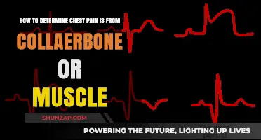 Is It Your Collarbone or Muscle? Identifying the Source of Chest Pain