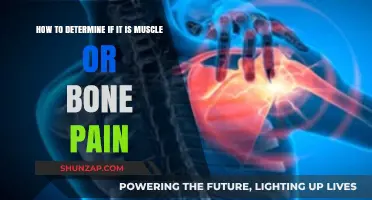 Muscle or Bone Pain: Identifying the Source and Seeking Relief
