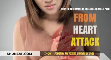 Identifying Skeletal Muscle Pain Linked to Heart Attack: Key Signs