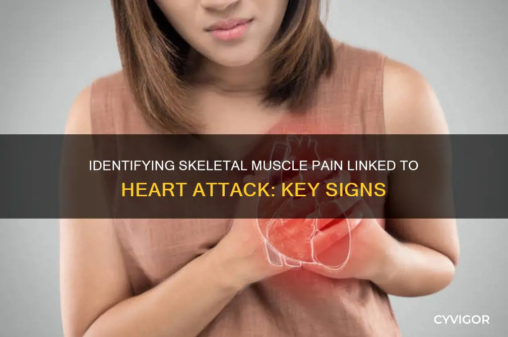 how to determine if skeletal muscle pain from heart attack