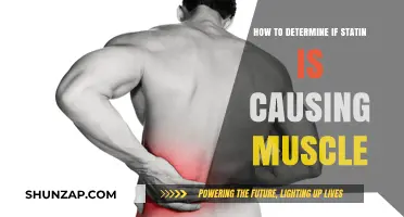 Statin Side Effects: Muscle Pain Indicators