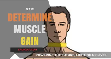 Effective Strategies to Accurately Measure and Track Muscle Gain Progress