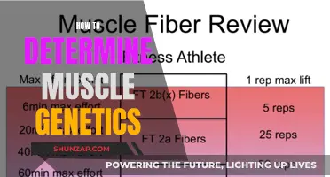 Unlocking Muscle Genetics: Unraveling Your Body's Unique Blueprint