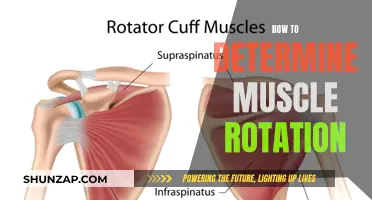 Assessing Muscle Rotation: Techniques for Understanding Body Mechanics