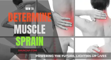 Muscle Sprain: Identifying Symptoms and Seeking Treatment